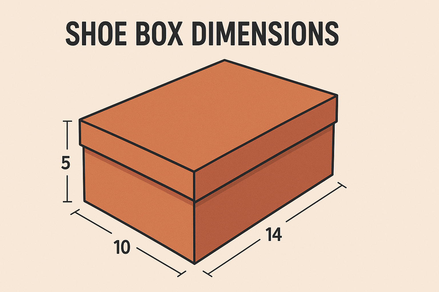 Shoe Box Dimensions: The Ultimate Guide for Storage, Shipping & Style